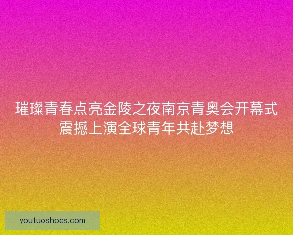 璀璨青春点亮金陵之夜南京青奥会开幕式震撼上演全球青年共赴梦想